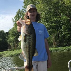 Meet your Posher, Chase